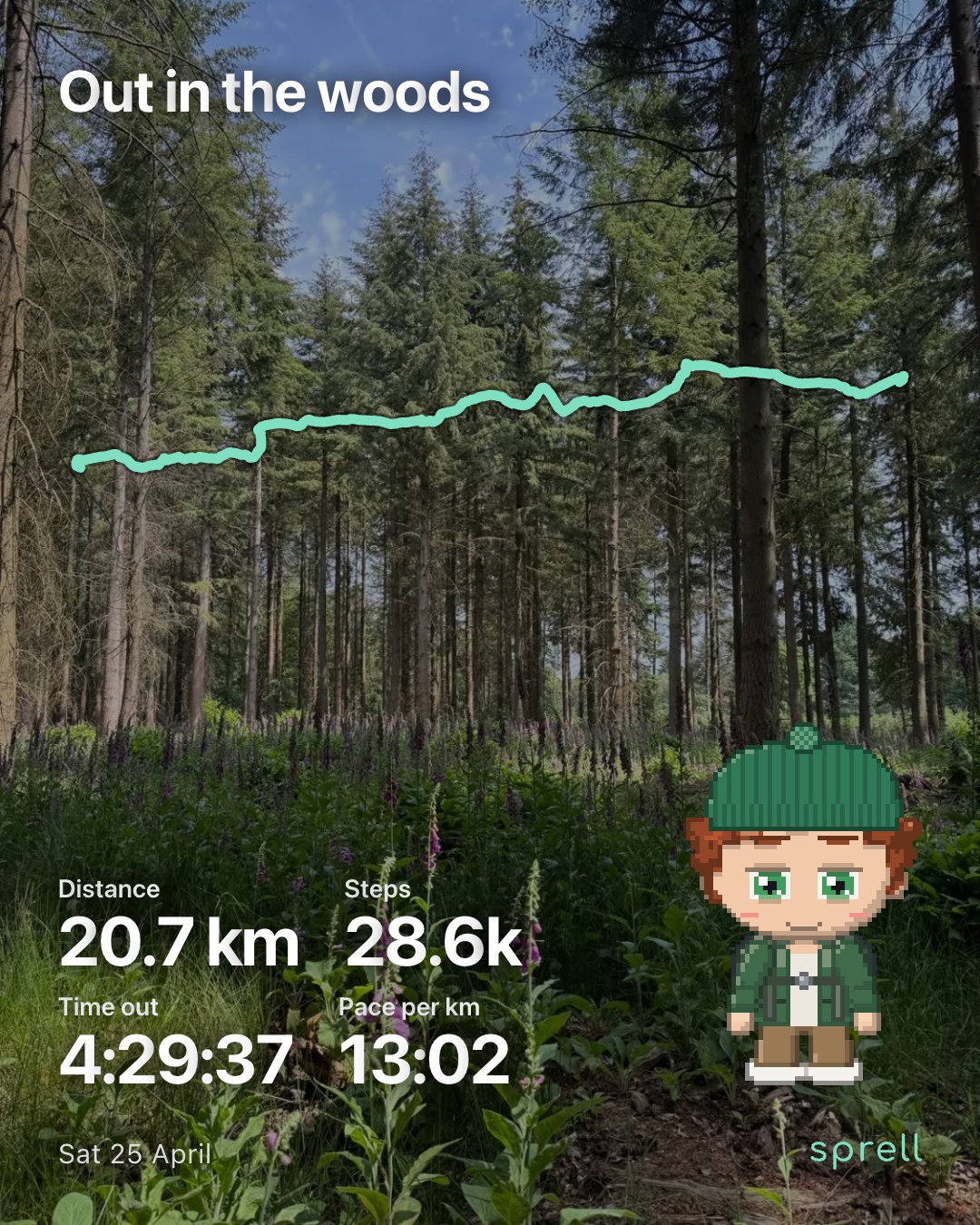 A Sprell card over a photo of a pine wood with foxgloves: Out in the woods, the North Downs from Guildford to Dorking, 20.7 km, 28.6k steps